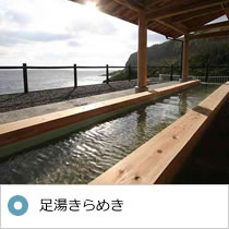 八丈島ふれあい牧場