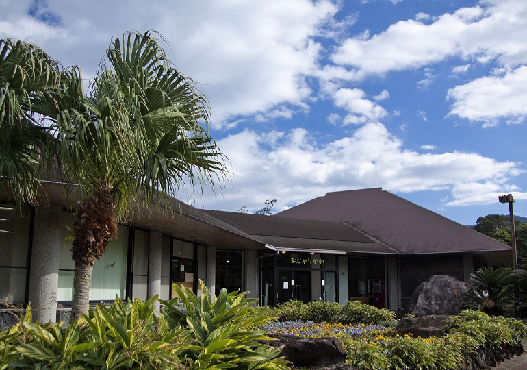 八丈島 植物園