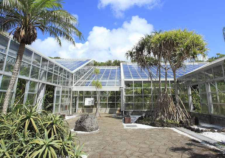 八丈島 植物園