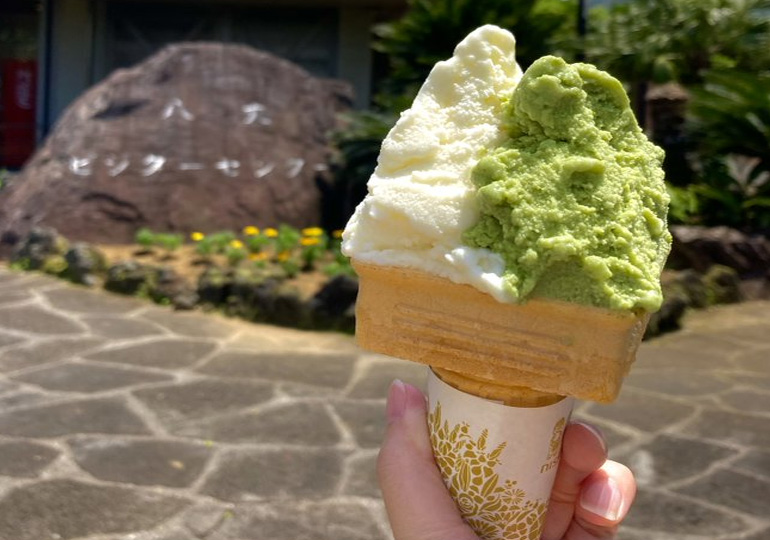 八丈島 植物園