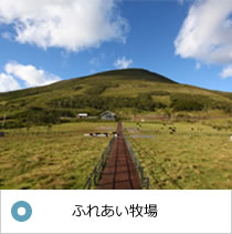 八丈島ふれあい牧場