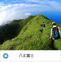 八丈島ふれあい牧場