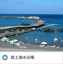 八丈島ふれあい牧場