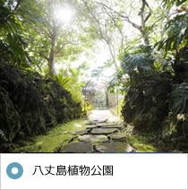 八丈島 植物公園